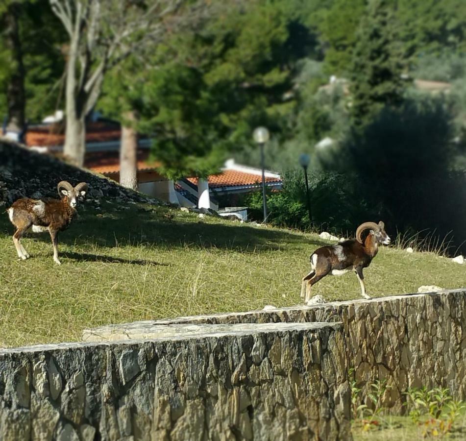 Villetta Roberto Le Macine Di Charme - Pugnochiuso Resort เวียสเต ภายนอก รูปภาพ
